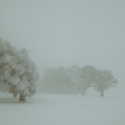 Winter on Schauinsland mountain 1