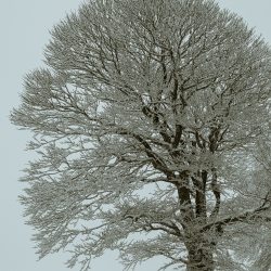 Winter on Schauinsland mountain 2