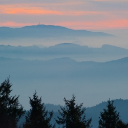 Black Forest View