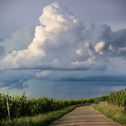 Summer clouds