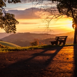 Sunset in Black Forest