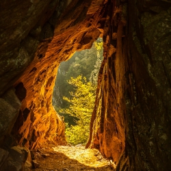 Col de la Schlucht, Alsace, France